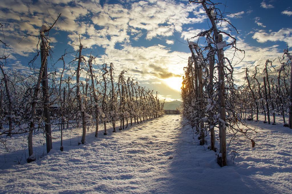Appartamento Huebenburg Appiano Sulla Strada Del Vino