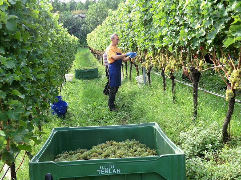 Huebenburg Appiano Sulla Strada Del Vino