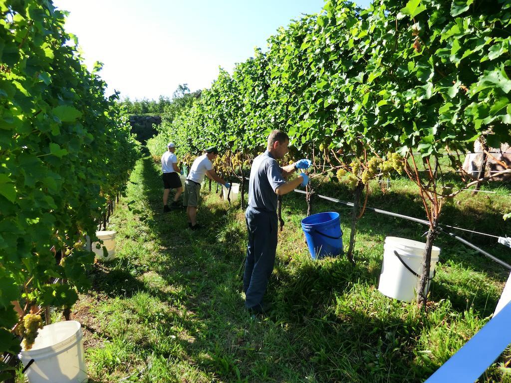 Huebenburg Appiano Sulla Strada Del Vino